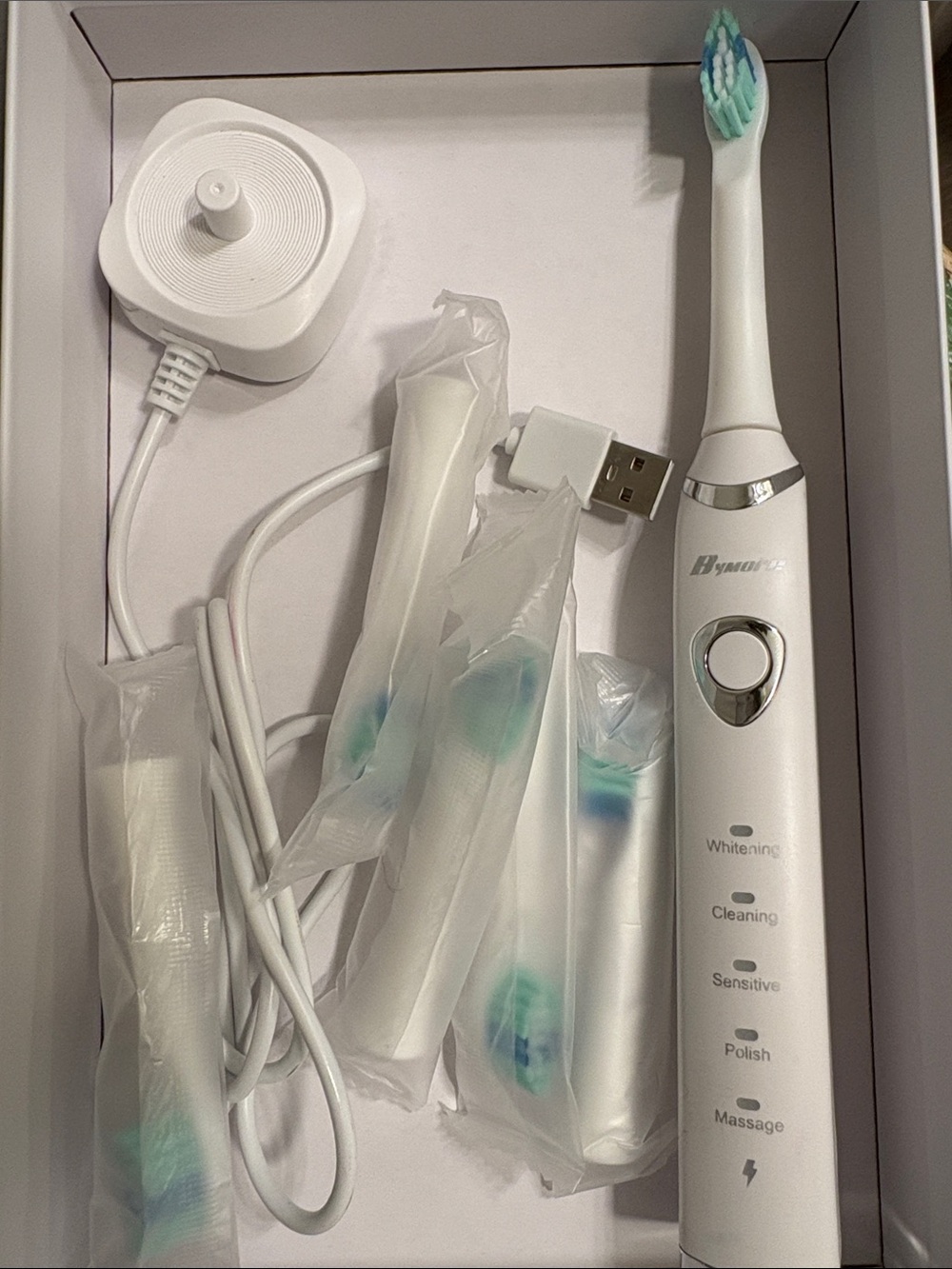 Electric Toothbrush with Replacement Heads